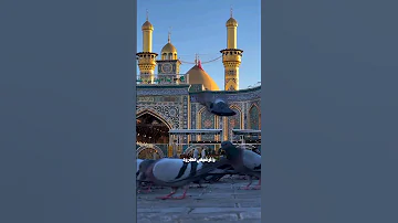 باجر لمن نموت بالبرزخ يجي الصوت سيد فاقد ياعلي مولا ع ل يہ الس لام اكسبلور تصميم فيديوهات ترند 2025 