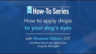 AskVCA - How to apply drops to your dog's eyes