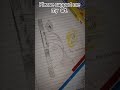 #art# hare krishna#trendingshort #sortvideo#cricket#patibramchari# krishna drawing#viralvideo #fani