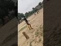 Chkke Ki Bet Cricket Chkke Ki Bet Cricket