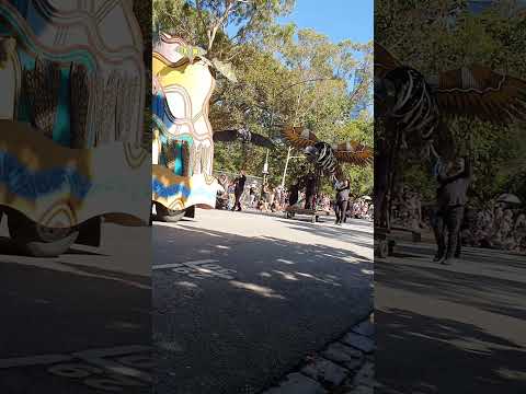 Start Of Famous Popular Moomba Parade 2025 With Original Custodians Of The Land Proudly A