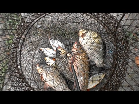 Боковой кивок Поклевки Ловля на боковой кивок Side a nod Bite My fishing