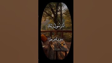 آيات من سورة مريم ، بصوت الشيخ عبد الباسط عبد الصمد رحمه الله #islamicvideo