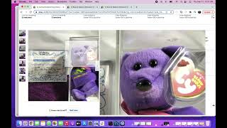 Ebay Bidding Wars for Exclusive Ty Beanie Babies - Billionaire Bears and Hong Kong Toy Fair Bear Wealth