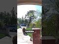 The man who saw a bear in his garden (Caught on Ring Doorbell) #doorbellcamera #doorbellvideo