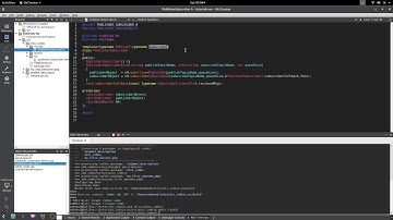 ROS-Tutorials 4: Simultaneously Publisher-Subscriber Node (a parrot-like node)