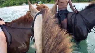 Horse  ride in the ocean in Jamaica.