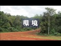 JICAのアフリカへの貢献