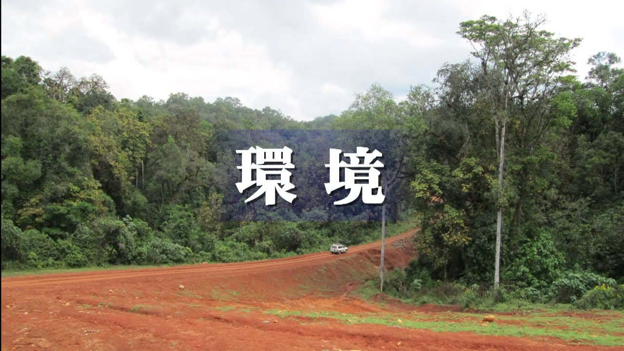 JICAのアフリカへの貢献