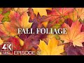 Fall Foliage in New England - 4K TV Wallpaper Slideshow with Amazing Autumn Colors - Part 3