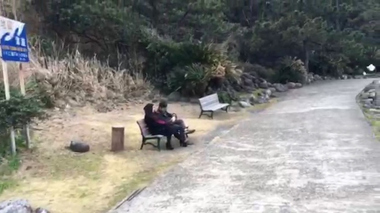 【心霊映像】見なきゃよかった！海岸で撮った映像を後から確認してしまった結果…【心霊闇動画36】