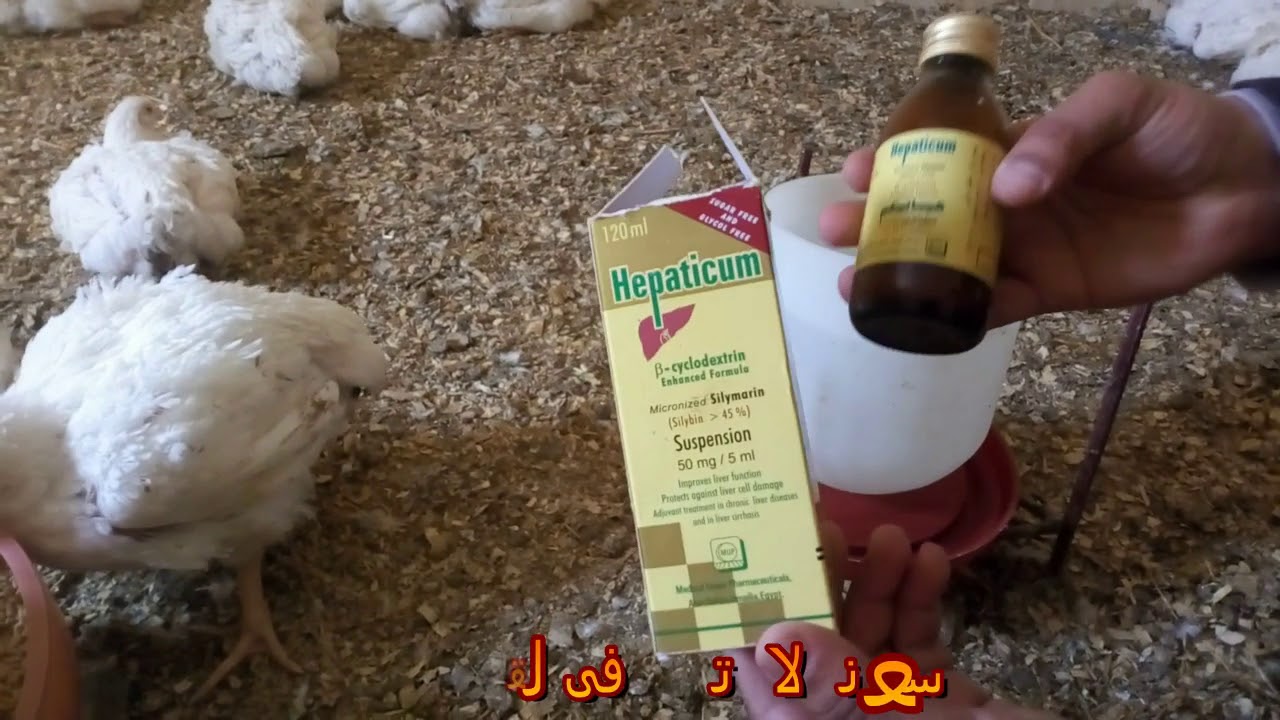 ((لو مش لاقي مضاد سموم بيطري )افضل استخدام للمضاد السموم البشري واهميته والجرعه