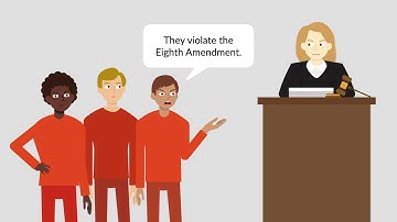 Brown v. Plata Case Brief Summary | Law Case Explained