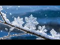 聆听一曲班得瑞 雪之梦 温暖你整个冬天 聆听一曲班得瑞 雪之梦 温暖你整个冬天