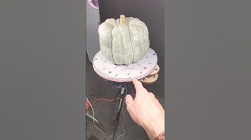 Scan-o-matic version 6 #photogrammetry #sculpture #sculpting