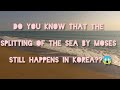 The sea that moses divided still hapens in south korea
