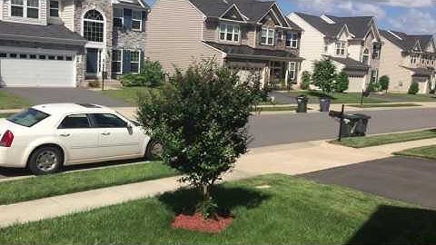 Neighbors only park in front of my house!