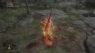 bloodborne netcode in ER