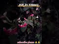 Nechar🌌love status.Pov.by vishnuyt972#1000subscriber #nechar#परियावरण#yt#🌌🌌 #🌳🌿🌲#pariyabarn#प्रकृति