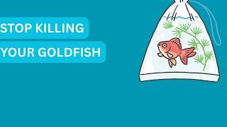 How To Keep Your Goldfish Alive For 15 Years