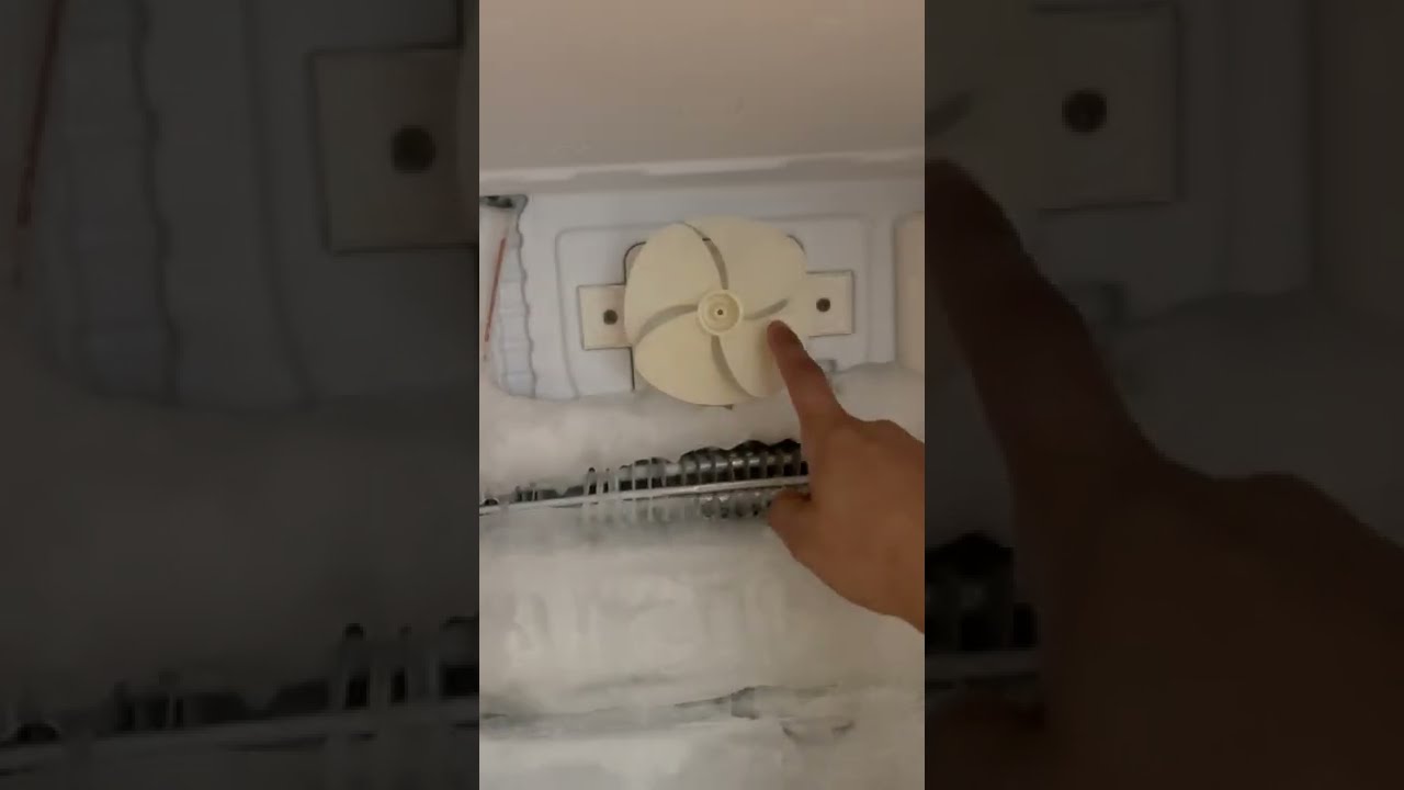 Fridge Making Noise Reason Why Your Refrigerator Is In Freezer Section 