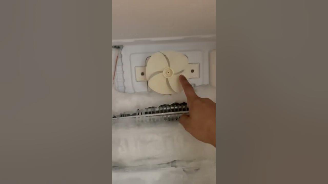 Fridge making noise | reason why your refrigerator is making noise in freezer section.