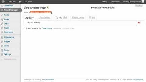 Project Manager plugin for WordPress - Quick Demo