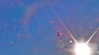 1 сентября 2016 г. школа №998 1 «В» класс. 1 сентября 2016 г. школа №998 1 «В» класс.