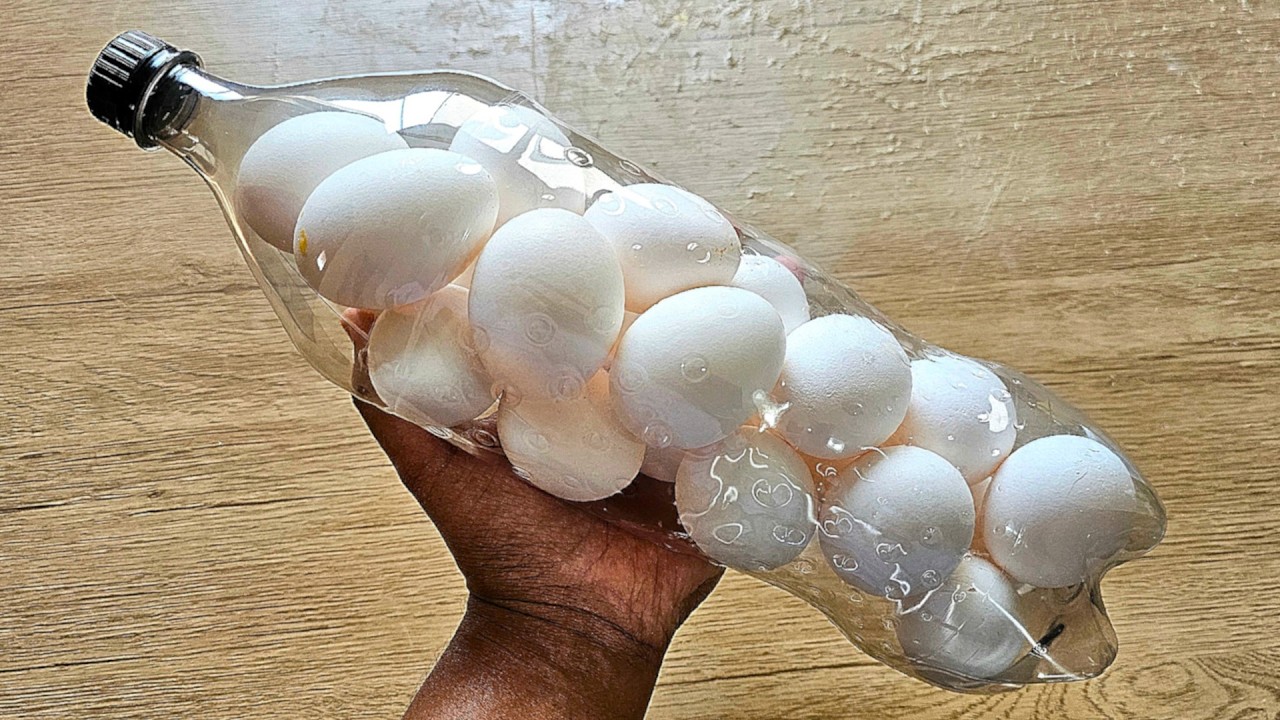 O segredo dos OVOS na GARRAFA PET!