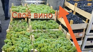 ВИНО из ВИНОГРАДА в МОСКВЕ без заморочек 🍇🍇🍇🥂🥂🥂