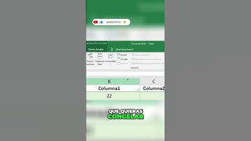 COMO INMOVILIZAR COLUMNAS Y FILAS EN EXCEL│Tutorial RAPIDO ⚡ #excel #tips #tutorial