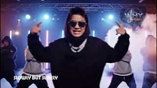 Slowly but Surely mp3