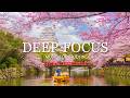 Deep Focus Music To Improve Concentration - 12 Hours of Ambient Study Music to Concentrate #3
