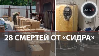 Убийственный «Мистер Сидр»: уже 28 смертей | Ядовитый напиток продолжает травить Поволжье