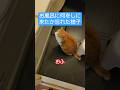 お風呂に何をしに来たか忘れた様子