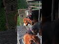 Check out the video.