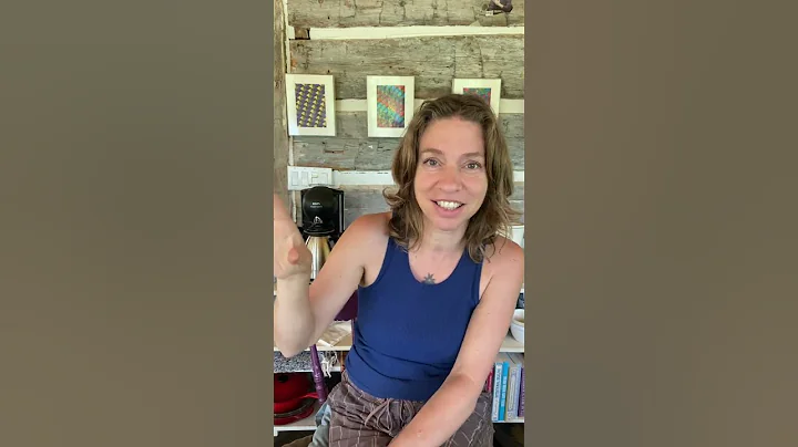 25 Years of Living in Clip - Ani DiFranco