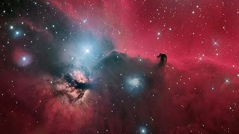 Setting Up Focus Max