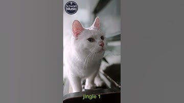 Jingle 1 Free (No Copyright Music)