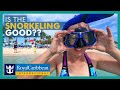 Free cococay snorkeling  royal caribbean  snorkeling guide off chill beach