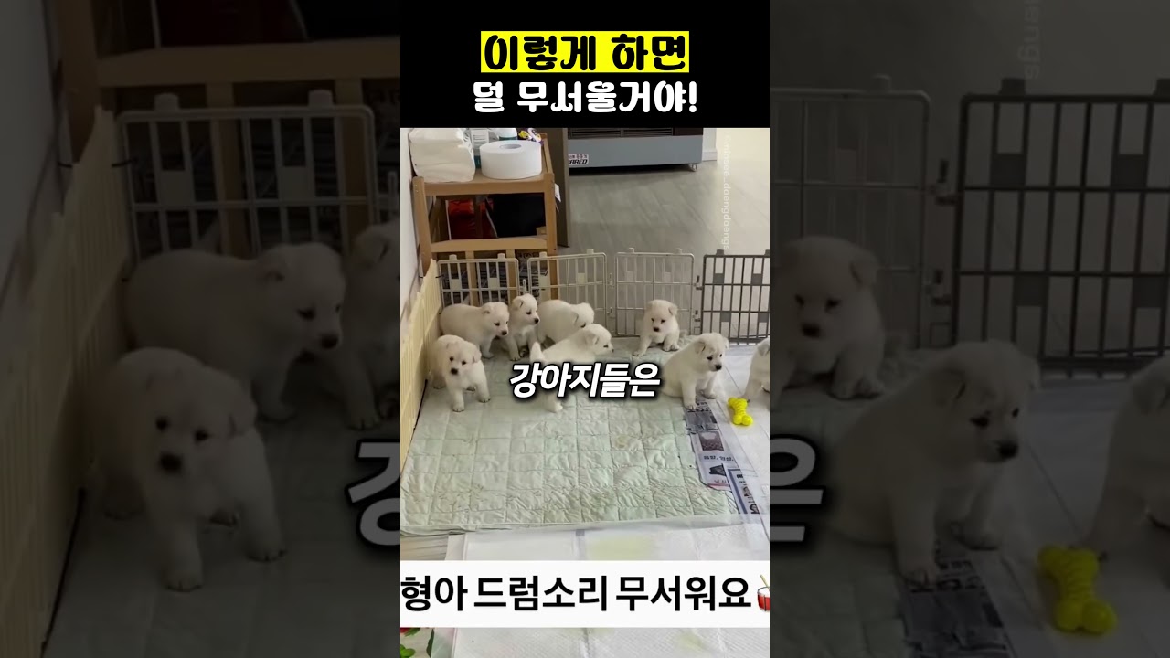 쪽수가 많으니까 이렇게 하면 덜 무서울거야!