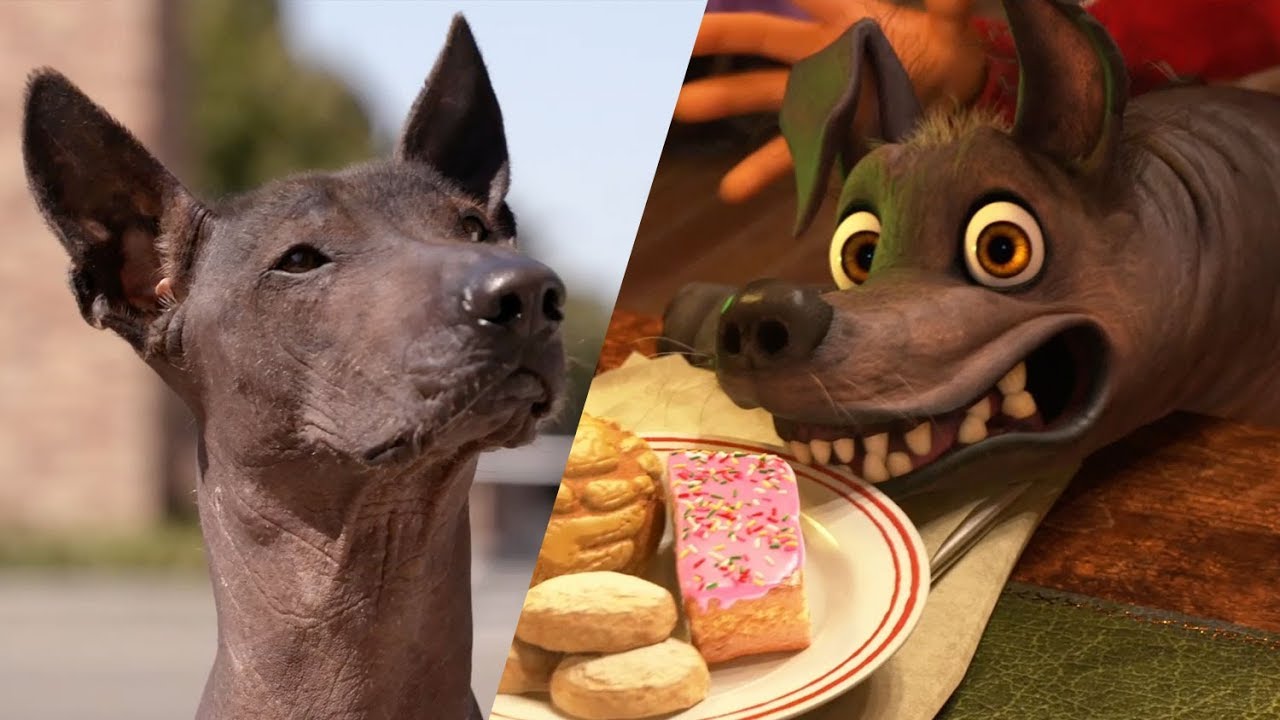 dog in coco the movie