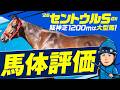 【セントウルS 2026】阪神開催では大型馬がとにかく強い！道悪にも対応可能な前途有望スプリンターにココも本命印◎