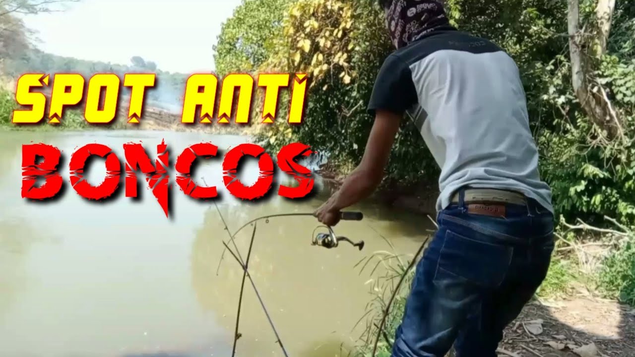 mancing ikan Sili dengan umpan udang || dijamin Strike 