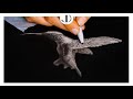 Step by step hyperrealistic drawing techniques