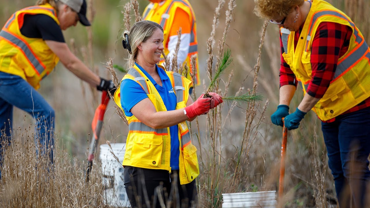 Rayonier Support Employees Plant 4000 Trees at Planting Event