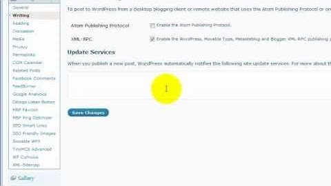 WordPress and Pinging