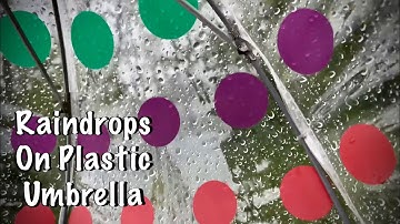 ASMR Rain on plastic umbrella (No talking) Running water/Birds/Country walk in Tennessee!