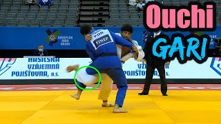 20 Ouchi Gari's by Olympic/World Champ Lasha Shavatuashvili