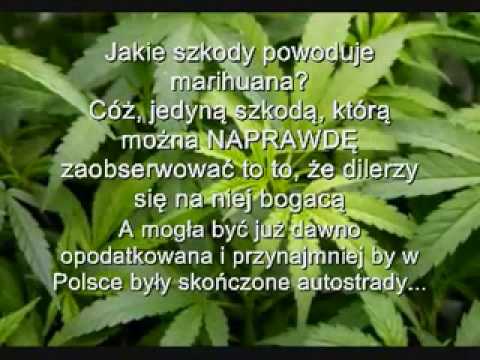 LEGALIZACJA MARIHUANY DLA POLSKI
